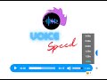 VoiceSpeed  from Chrome web store to be run with OffiDocs Chromium online