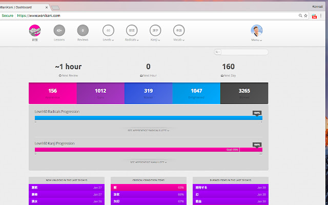 WaniKani New Reviews Notifier  from Chrome web store to be run with OffiDocs Chromium online