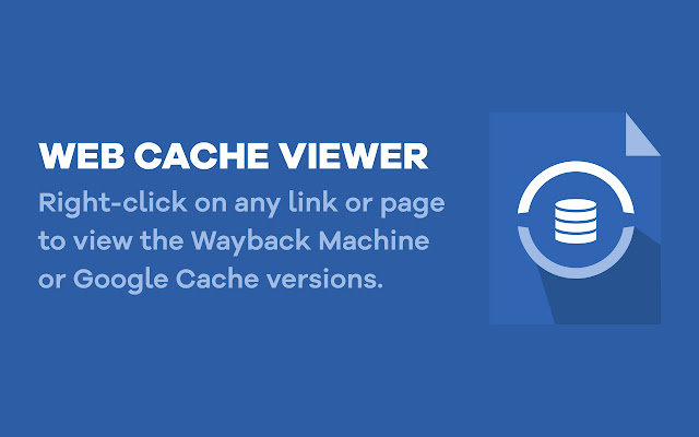 Web Cache Viewer  from Chrome web store to be run with OffiDocs Chromium online