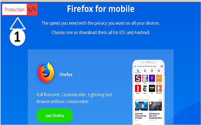 Web Developer Sidekick  from Chrome web store to be run with OffiDocs Chromium online