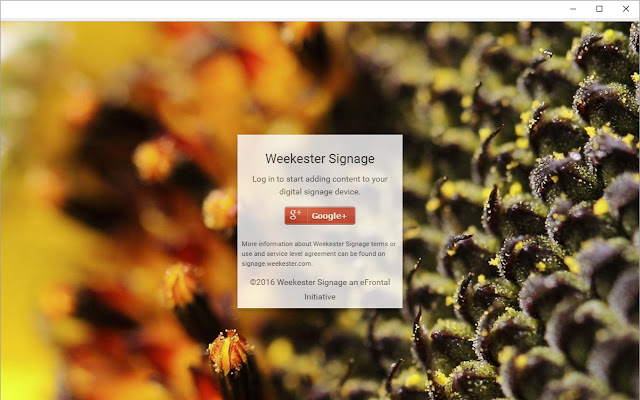 Weekester Signage  from Chrome web store to be run with OffiDocs Chromium online