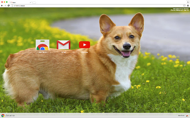 Welsh Corgi  from Chrome web store to be run with OffiDocs Chromium online