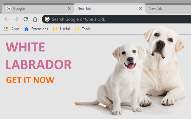 WHITE LABRADOR  from Chrome web store to be run with OffiDocs Chromium online