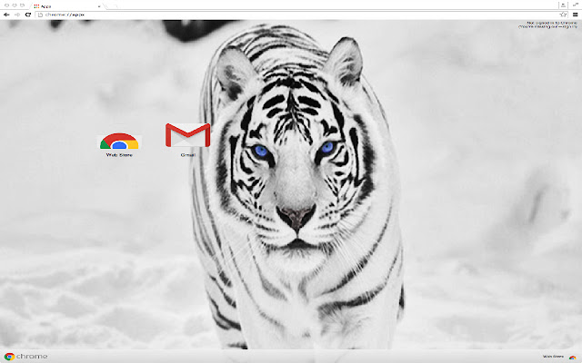 White Tiger Theme  from Chrome web store to be run with OffiDocs Chromium online