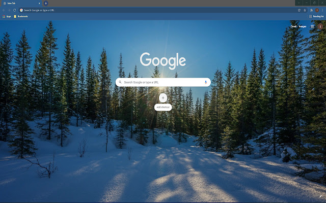 Winter Forest HD Wallpaper Theme  from Chrome web store to be run with OffiDocs Chromium online