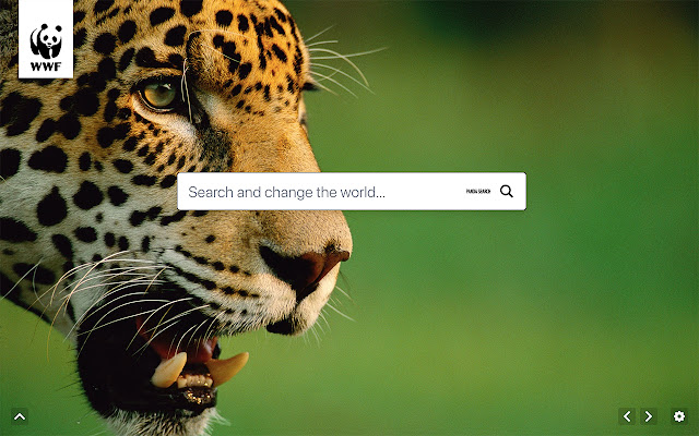 WWF Panda Search  from Chrome web store to be run with OffiDocs Chromium online