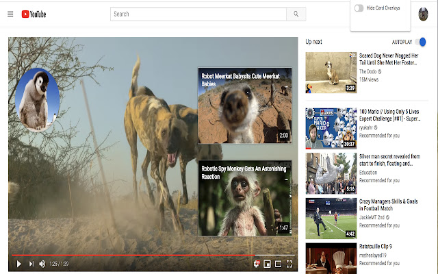 Youtube ES (Enhancement Suite)  from Chrome web store to be run with OffiDocs Chromium online