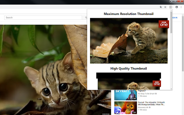 YouTube Thumbnail Extractor  from Chrome web store to be run with OffiDocs Chromium online