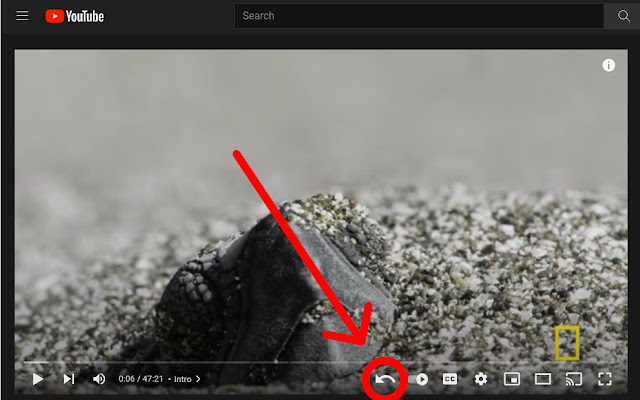 Youtube Undo  from Chrome web store to be run with OffiDocs Chromium online