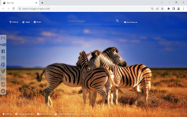 Zebra Wallpaper New Tab  from Chrome web store to be run with OffiDocs Chromium online