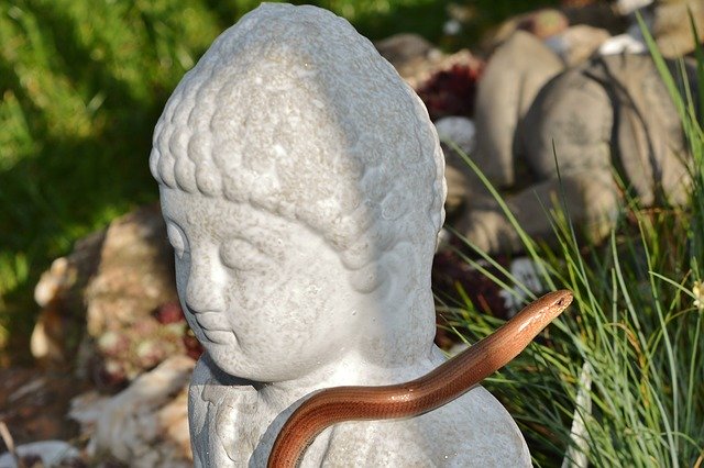 Free download Sculpture Slow Worm Mystical -  free photo or picture to be edited with GIMP online image editor