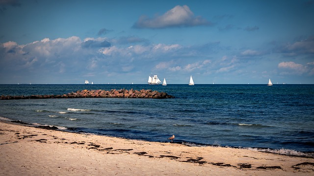 Free download Sea Baltic Sailing Boats free photo template to be edited with GIMP online image editor