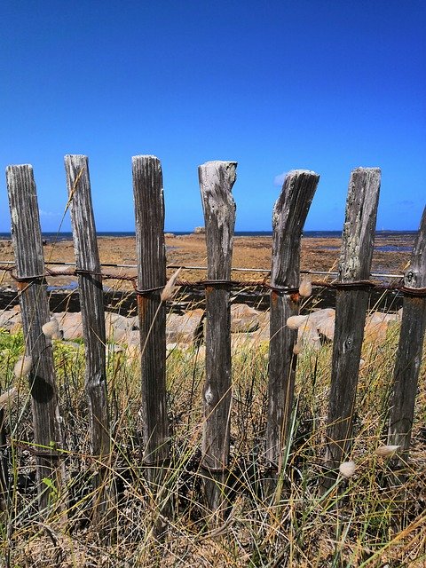 Free download Sea Barrier Wood -  free photo or picture to be edited with GIMP online image editor