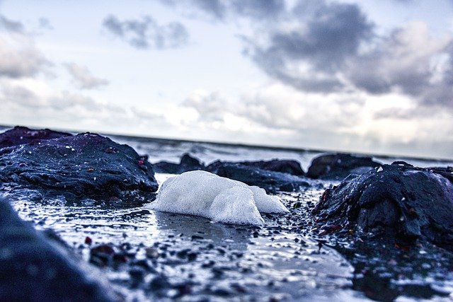 Free download sea foam zealand nature beach free picture to be edited with GIMP free online image editor