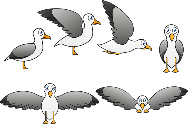 Free download Seagull Ave Fly - Free vector graphic on Pixabay free illustration to be edited with GIMP free online image editor