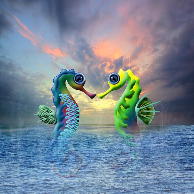 Free download Seahorse Water Sea -  free illustration to be edited with GIMP free online image editor