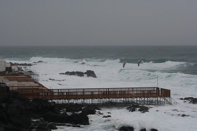 Free download Sea Jetty Seagulls -  free photo or picture to be edited with GIMP online image editor