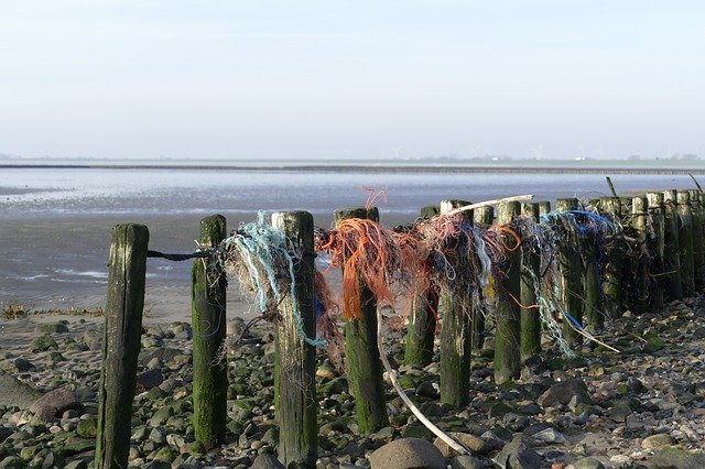 Free download Sea North Wadden -  free photo or picture to be edited with GIMP online image editor