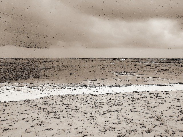 Free download Sea On Canvas Sand Sepia Grey -  free illustration to be edited with GIMP free online image editor