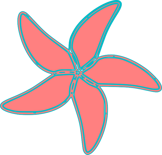 Free download Sea Starfish Ocean - Free vector graphic on Pixabay free illustration to be edited with GIMP free online image editor