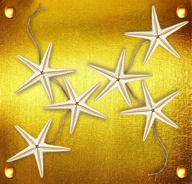 Free download Sea Star Golden -  free illustration to be edited with GIMP free online image editor