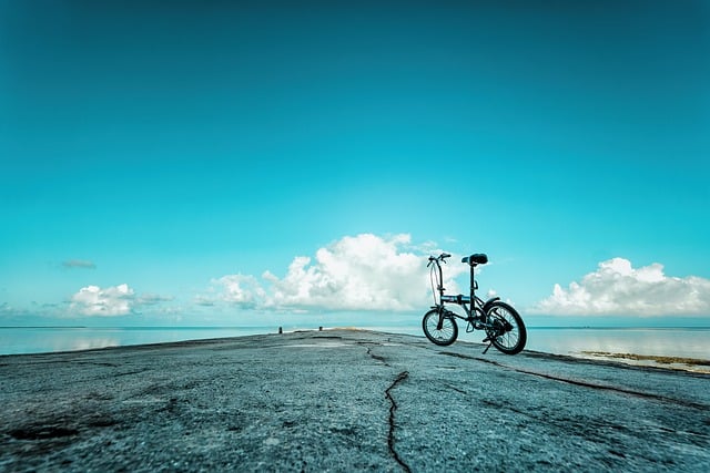 Free download sea subtropical pier shallow sea free picture to be edited with GIMP free online image editor