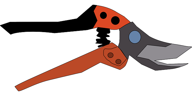 Free download Secateurs Garden Scissors - Free vector graphic on Pixabay free illustration to be edited with GIMP free online image editor