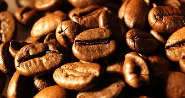 Free download seeds coffee closeup caffeine free picture to be edited with GIMP free online image editor