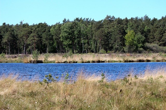 تحميل مجاني Seemoor Moor Nature - صورة مجانية أو صورة يتم تحريرها باستخدام محرر الصور عبر الإنترنت GIMP