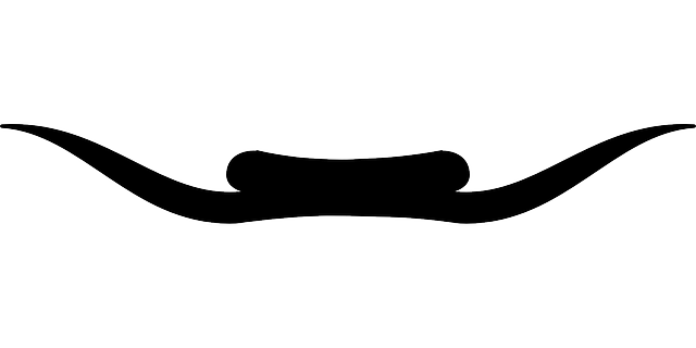 دانلود رایگان Separator Bottom Separation - گرافیک وکتور رایگان در تصویر رایگان Pixabay برای ویرایش با ویرایشگر تصویر آنلاین رایگان GIMP