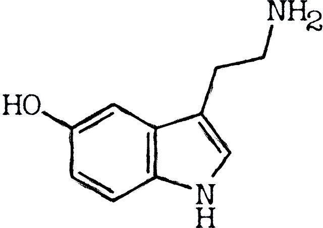 Free download Seratonin Molecule -  free illustration to be edited with GIMP free online image editor