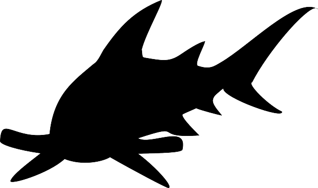 Free download Shark Hammerhead Silhouette - Free vector graphic on Pixabay free illustration to be edited with GIMP free online image editor