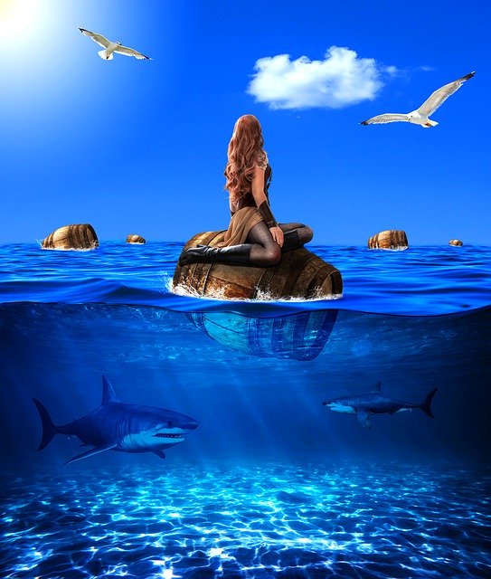 Free download Sharks Wood Barrel Float -  free free photo or picture to be edited with GIMP online image editor