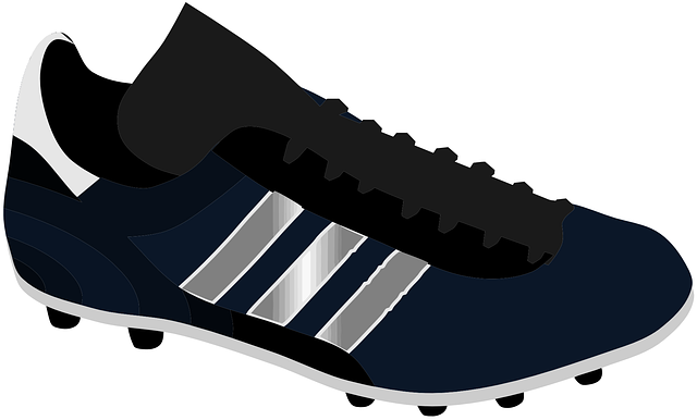 Free download Shoe Sports Shoes Sport - Free vector graphic on Pixabay free illustration to be edited with GIMP free online image editor