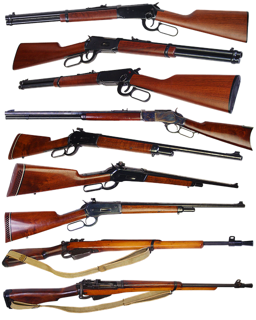 Free download Shotgun Rifle Carbine -  free illustration to be edited with GIMP free online image editor