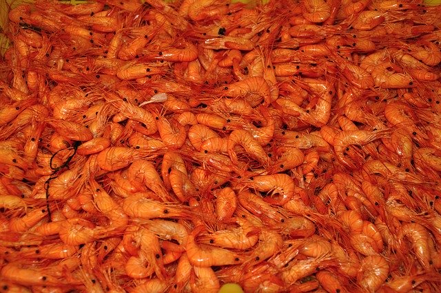 Free download Shrimp Seafood Food -  free photo or picture to be edited with GIMP online image editor