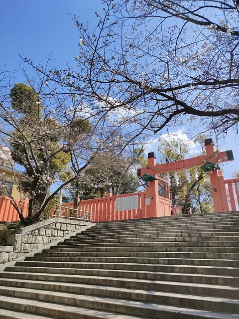 Free download shrine gate ikutama shrine osaka free picture to be edited with GIMP free online image editor