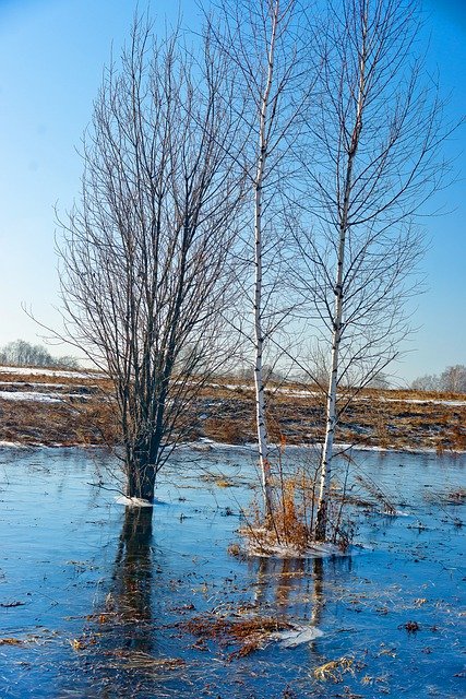 Free download siberia nature wilderness winter free picture to be edited with GIMP free online image editor