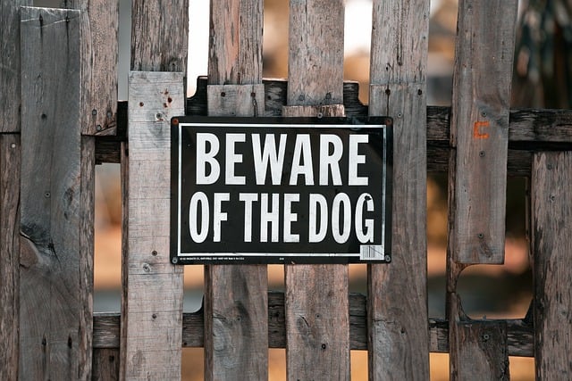 Free download sign fence beware of the dog gate free picture to be edited with GIMP free online image editor