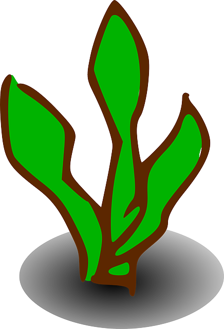 Free download Sign Plant Symbol - Free vector graphic on Pixabay free illustration to be edited with GIMP free online image editor