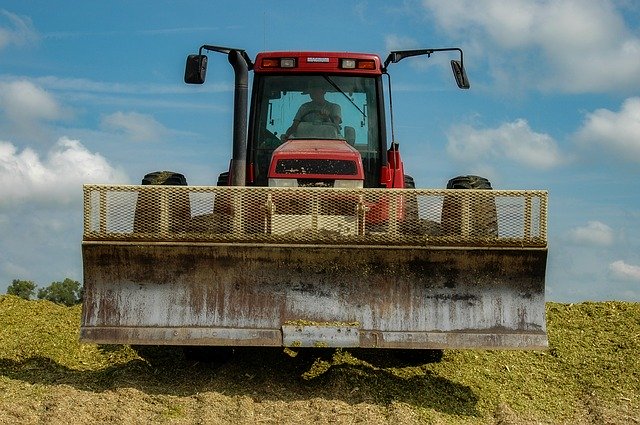 Descarga gratuita Silage Corn Cut - foto o imagen gratuita para editar con el editor de imágenes en línea GIMP