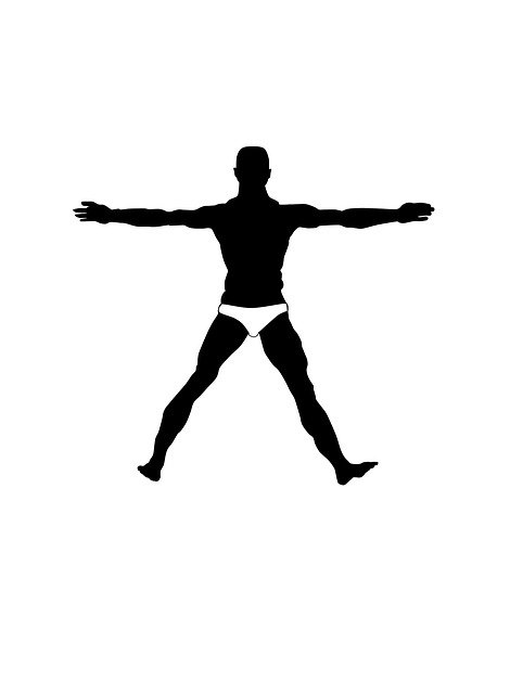 Free download Silhouette Man Leonardo Da -  free illustration to be edited with GIMP free online image editor