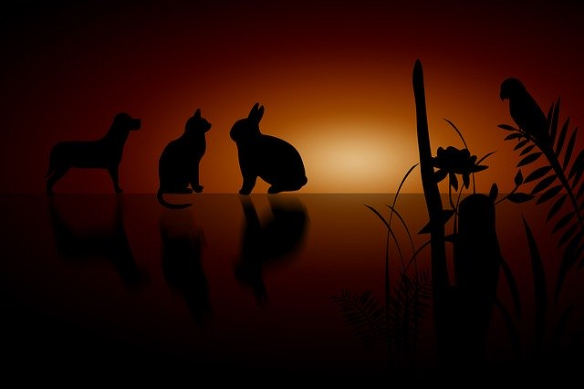 Free download Silhouettes Animal Sun -  free illustration to be edited with GIMP free online image editor