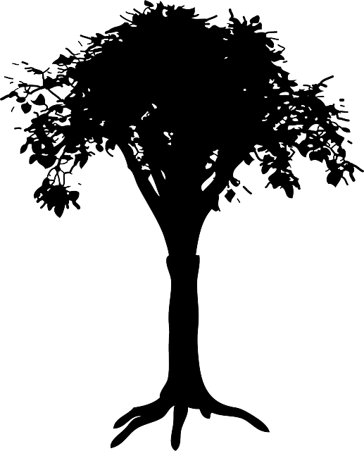 Free download Silhouette Tree - Free vector graphic on Pixabay free illustration to be edited with GIMP free online image editor