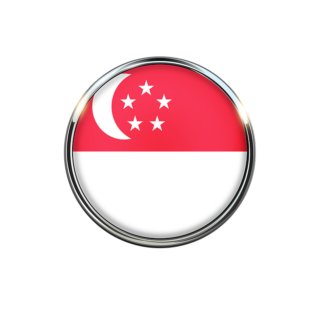 Singapore văn phòng: Singapore là điểm đến lý tưởng cho các công ty doanh nghiệp khi muốn mở rộng hoạt động. Với sự ổn định chính trị, môi trường kinh doanh thuận lợi và vị trí địa lý đắc địa, Singapore trở thành trung tâm kinh doanh quốc tế được các doanh nghiệp tin tưởng và lựa chọn.
