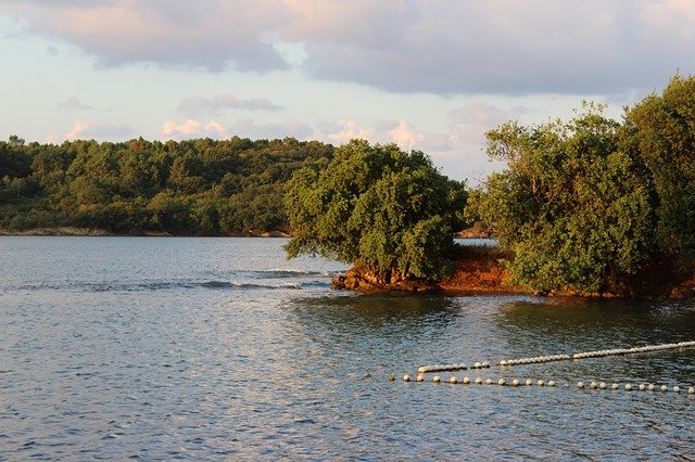 Free download Sinop Marine Forest -  free photo or picture to be edited with GIMP online image editor