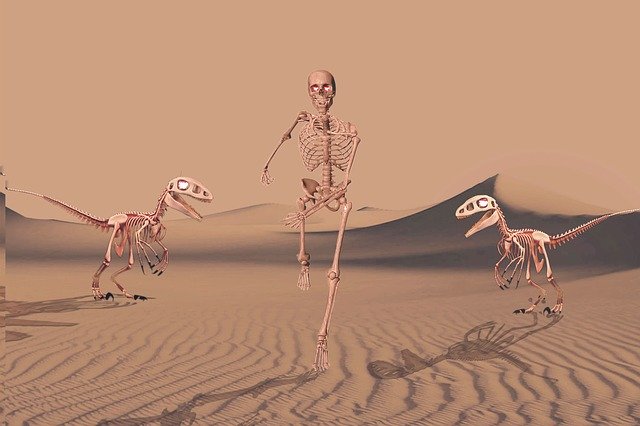 Free download Skeleton Desert -  free illustration to be edited with GIMP free online image editor