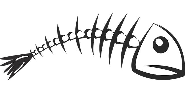 Muat turun percuma Klip Tulang Ikan Rangka - Grafik vektor percuma di Pixabay ilustrasi percuma untuk diedit dengan editor imej dalam talian percuma GIMP