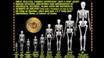 Free download Skeletons Modern Man To Carthaginians free photo or picture to be edited with GIMP online image editor