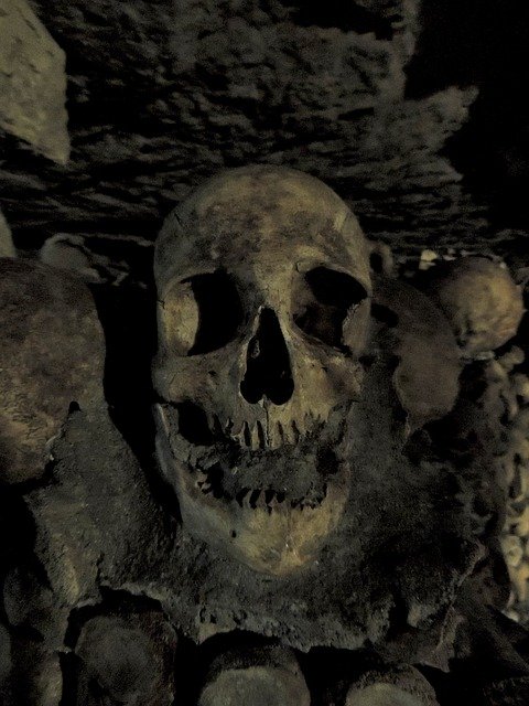 Download gratuito Skull Catacombs Paris - illustrazione gratuita da modificare con l'editor di immagini online gratuito di GIMP